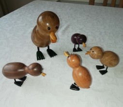 Duck family2